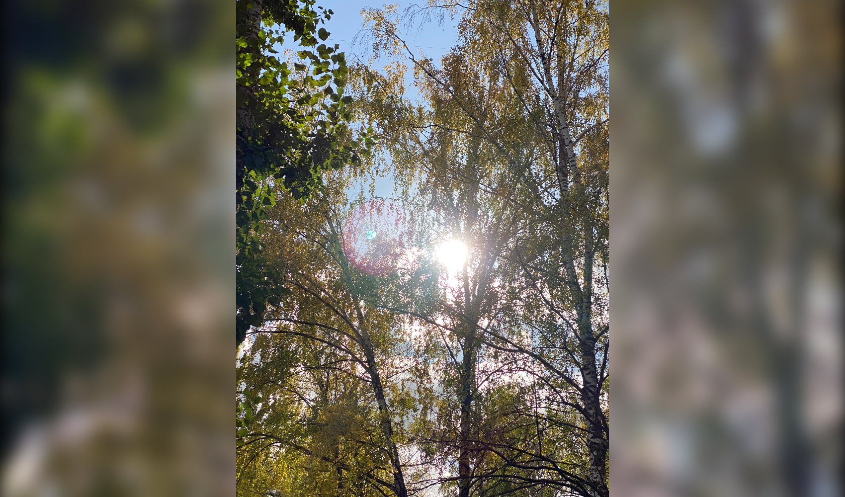 Теплая осень и бабье лето: мифы и реальность Теплая осень и бабье лето: мифы и реальность