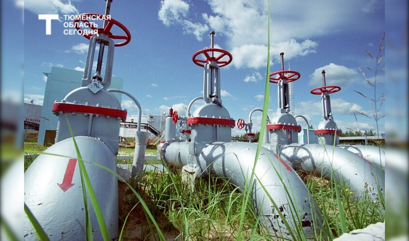 Женщины в ТЭК: как «мягкая сила» и цифровизация меняют нефтянку Женщины в ТЭК: как «мягкая сила» и цифровизация меняют нефтянку