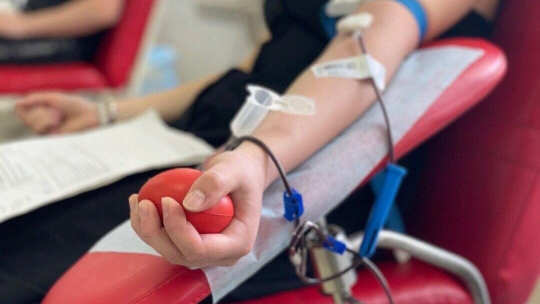 Саратовцы с проектом «Донор Волга» покорили всероссийский конкурс