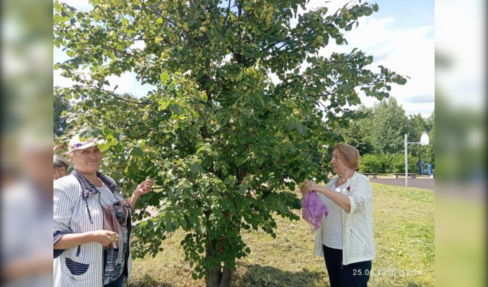 Аромат лета для защитников: в Нурлате заготовили липовый чай для бойцов Аромат лета для защитников: в Нурлате заготовили липовый чай для бойцов