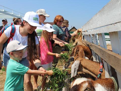 Сыроварня «Милаша»: ученики иркутской «Школы фермера» перенимают опыт успешного выпускника
