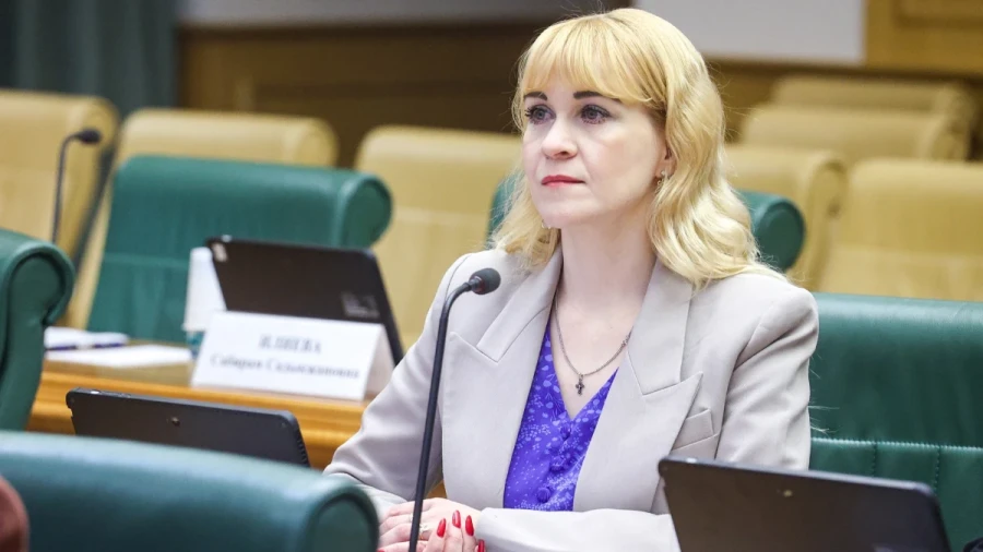 Мурманская «Колыбель» представила инициативы для женщин на заседании в Совфеде в Москве