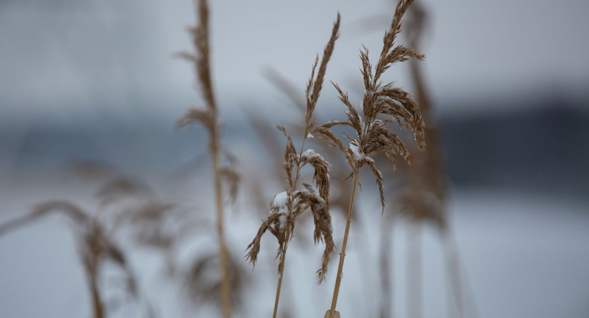Жду мужа с СВО»: советы психолога Жду мужа с СВО»: советы психолога