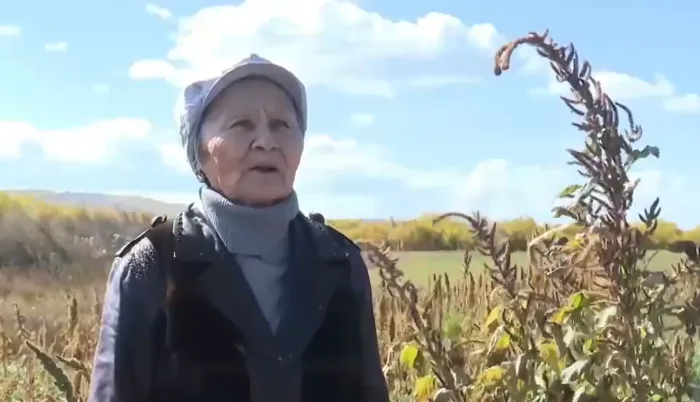 Забайкалка стала призером международного фотоконкурса «Женщина-фермер» Забайкалка стала призером международного фотоконкурса «Женщина-фермер»