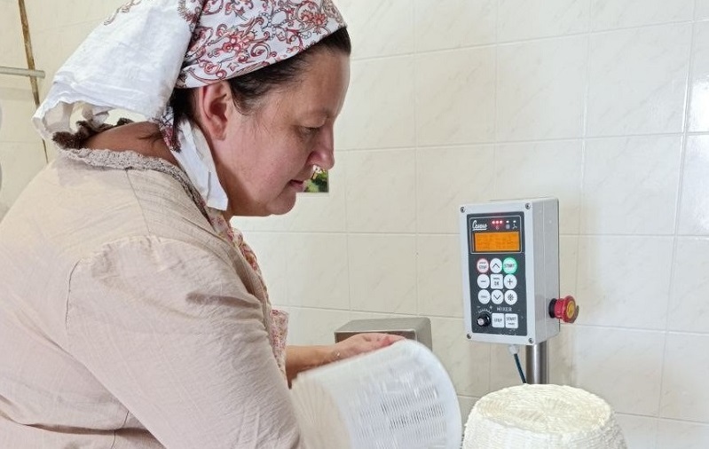 Сыр помог преодолеть финансовые трудности  женщине из-под Новосибирска