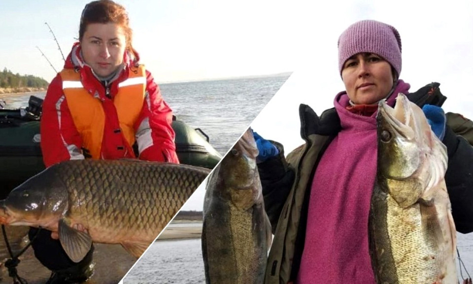 Новосибирская рыбачка выловила 19-килограммового сазана