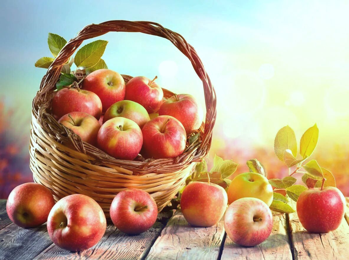 Первый праздник урожая - Яблочный Спас